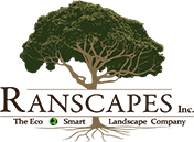 Ranscapes