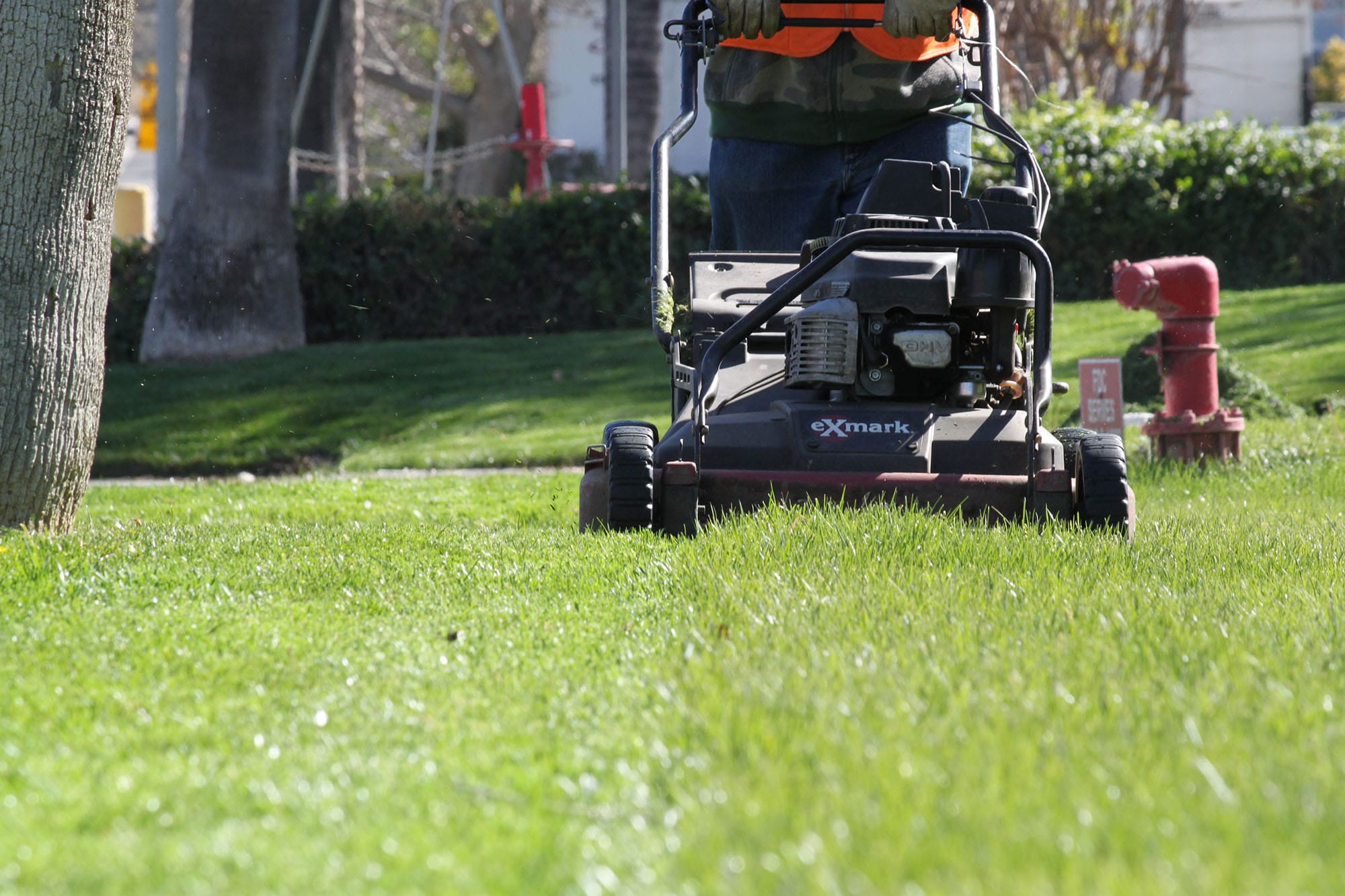 Freshly maintained lawn and planting beds outside an office campus
