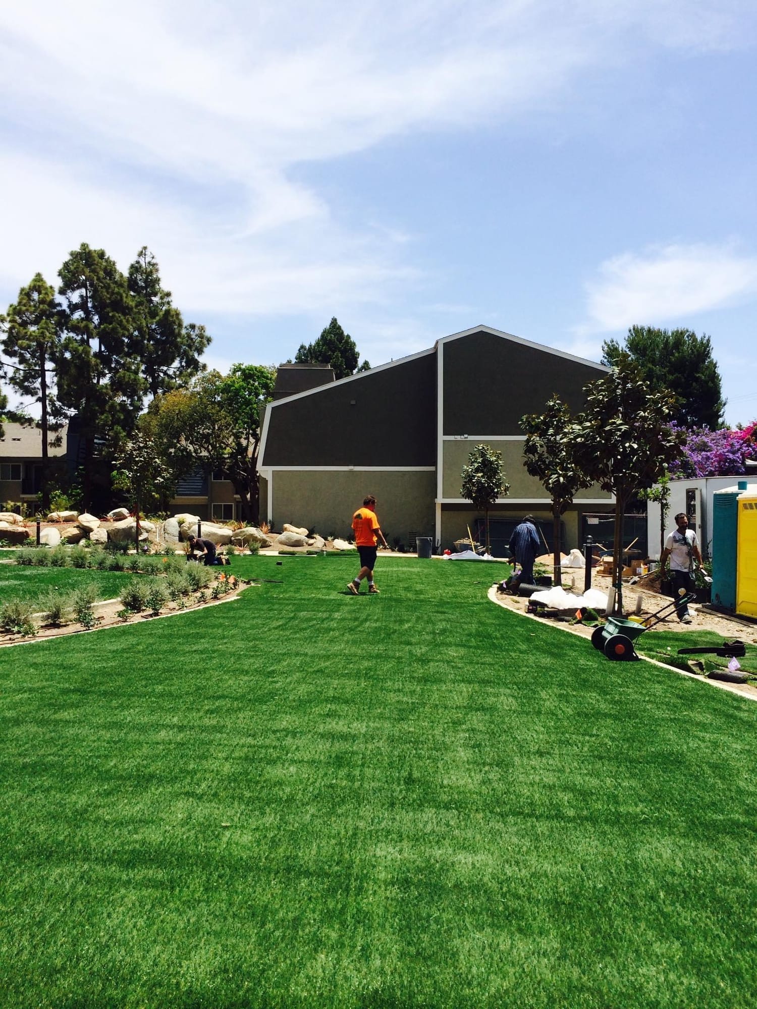A Ranscapes crew installing new sod and planting